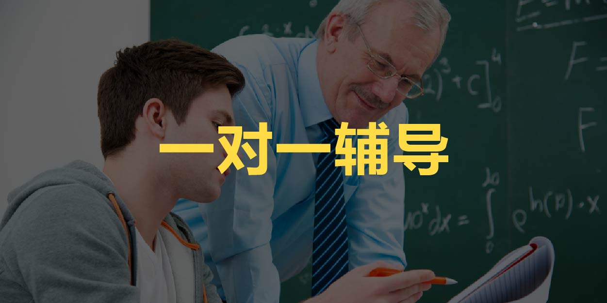一对一辅导 一对一辅导